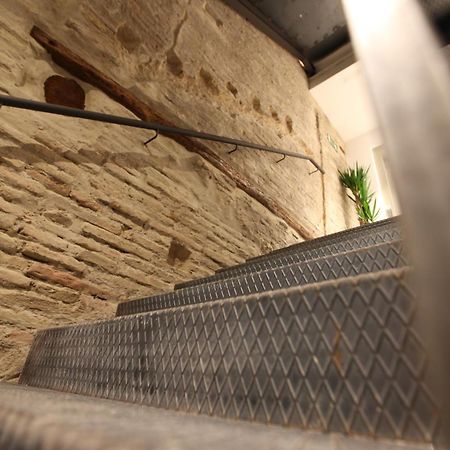 Vtz The Botanic Hostel Zaragoza Exterior photo